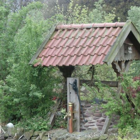Fewo Emsland Emsbueren Екстер'єр фото