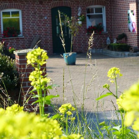 Fewo Emsland Emsbueren Екстер'єр фото
