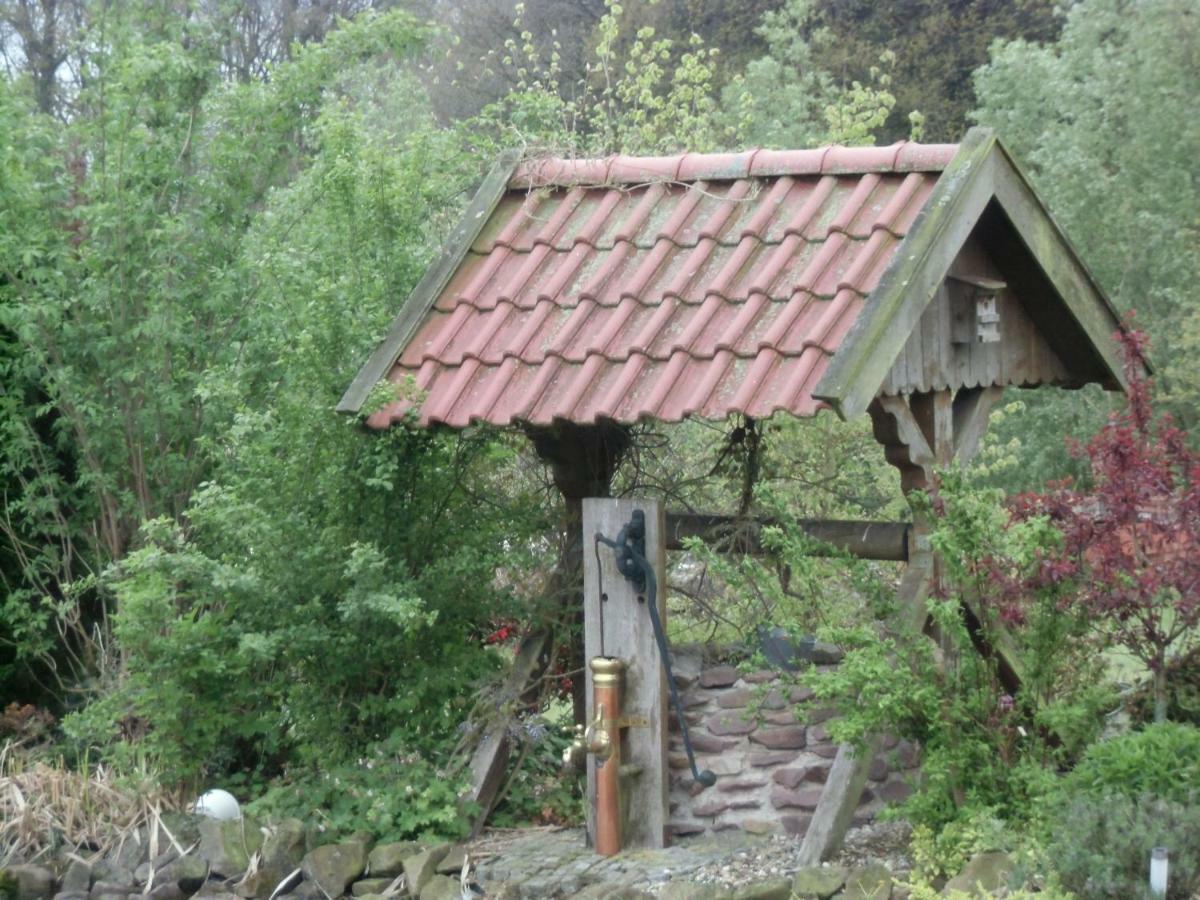 Fewo Emsland Emsbueren Екстер'єр фото